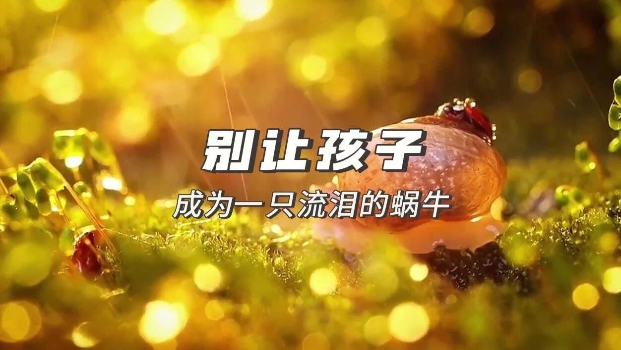 沁园诵读 | 蔡澜：人绝对可以貌相⭐别让孩子，成为一只流泪的蜗牛