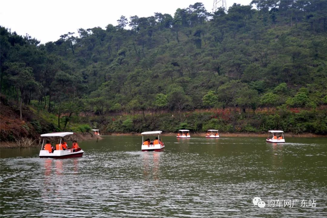 佛山时利和雷诺高明泰康山植树自驾游