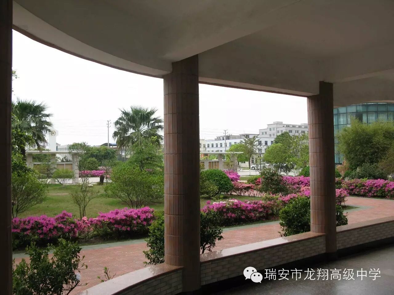 点赞2016 加油2017