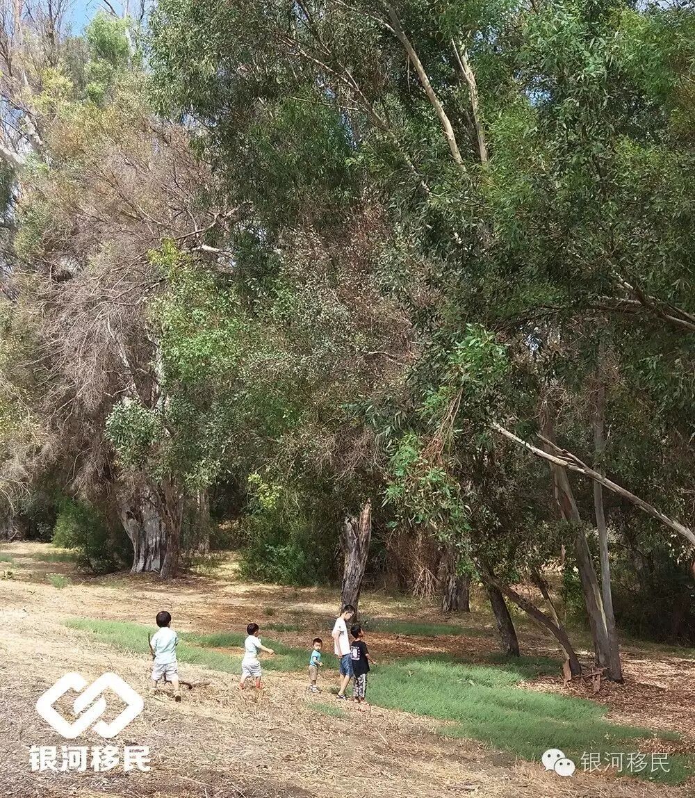 美國月子中心品牌_月子中心美國_美國月子中心比較好