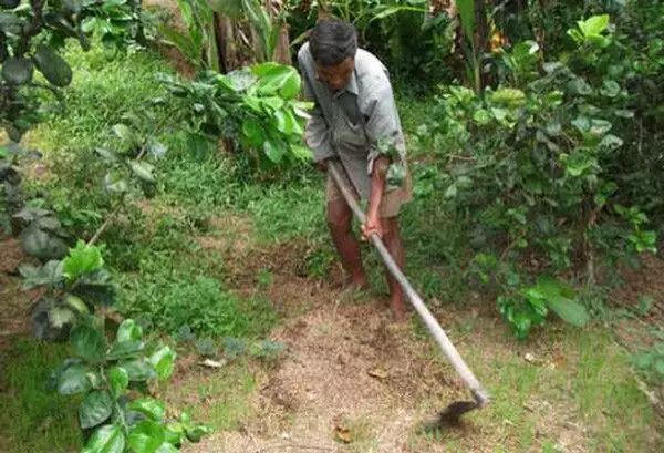 文山州广南人事网_广南省_广南政务