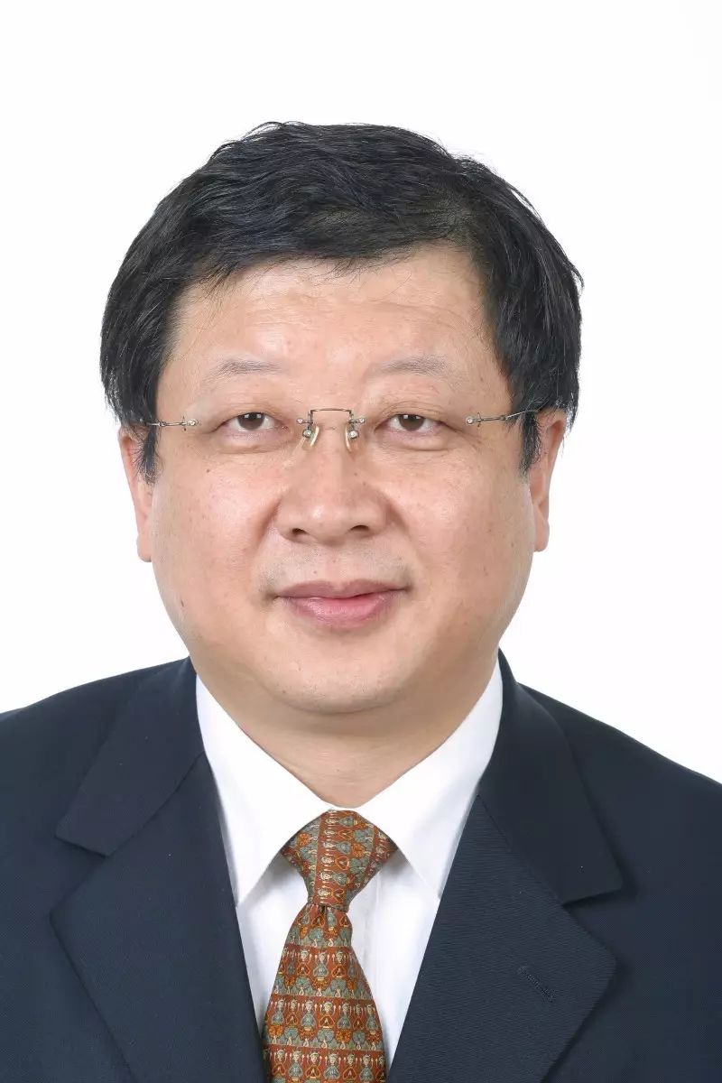 王国庆,国际宇航科学院院士,中国运载火箭技术研究院副院长兼总工艺