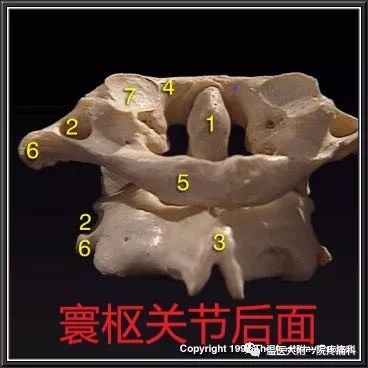 mr:c3/4,4/5椎间盘轻度突出,颈椎肥大;发现x片上齿状突左偏