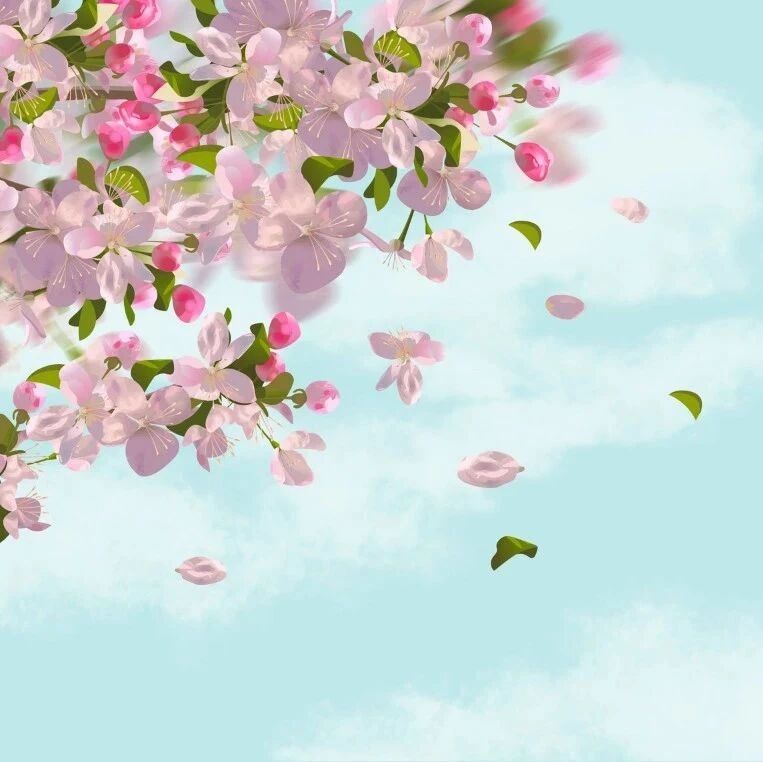 朗诵 | 周国平：邂 逅