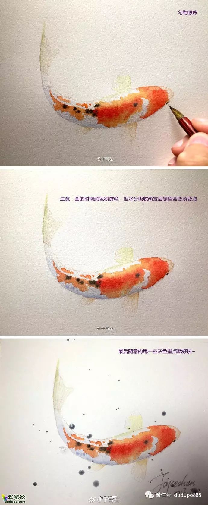 湿画法水彩锦鲤