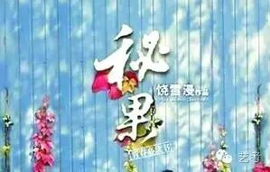 林心如新电影《秘果》改编自饶雪漫作品目前再招募演员