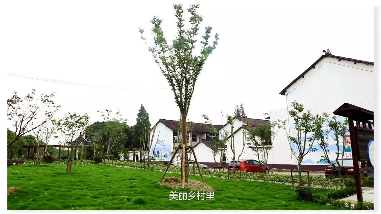 【马桥镇同心村】现在的农村很美,我想去看看