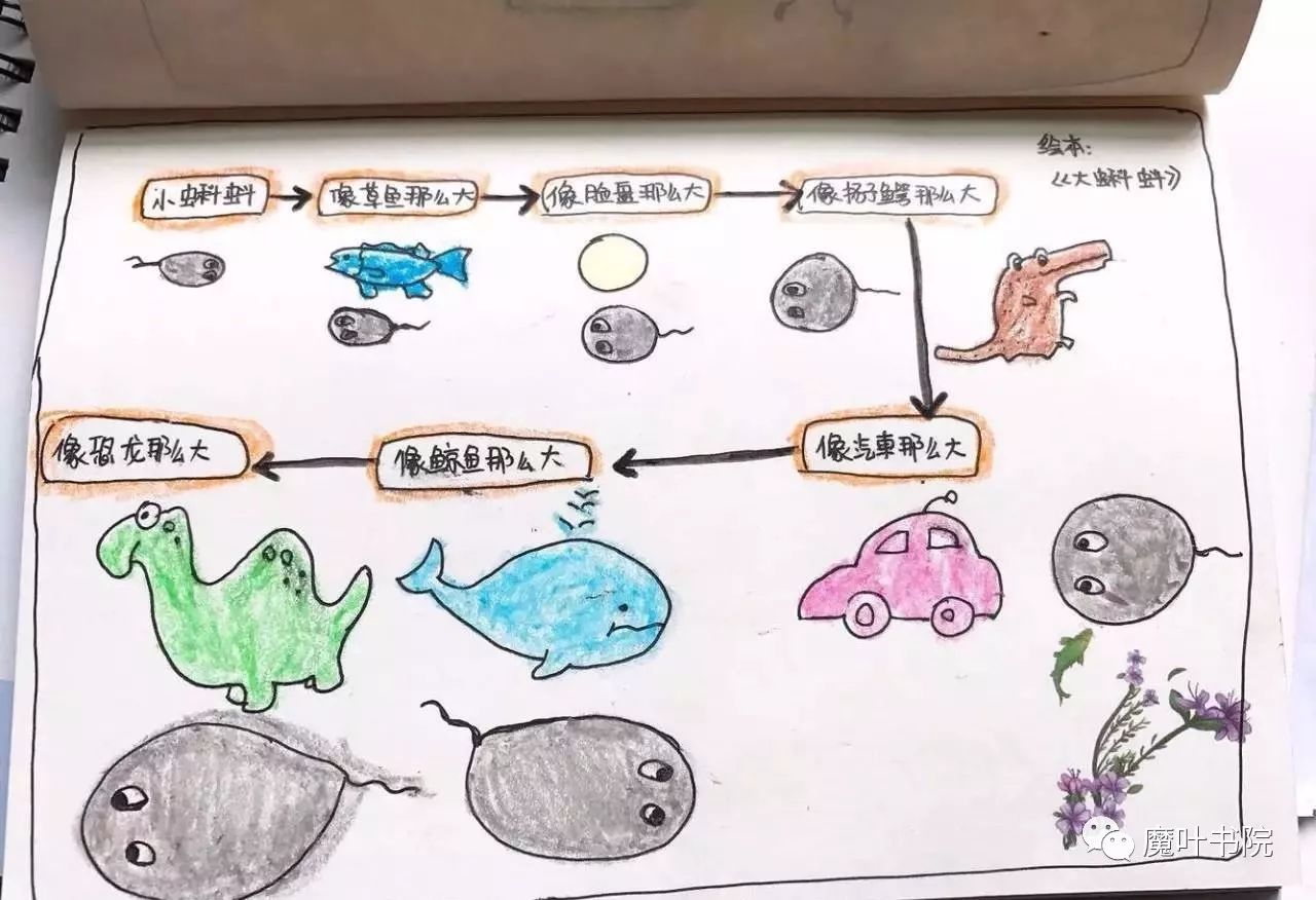 用流程图读绘本 那么思维导图中,什么时候可以使用流程图图呢?