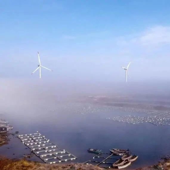 东方风力发电网发展渤中海上风电项目的背后是山东加速能源绿色转型的大魄力