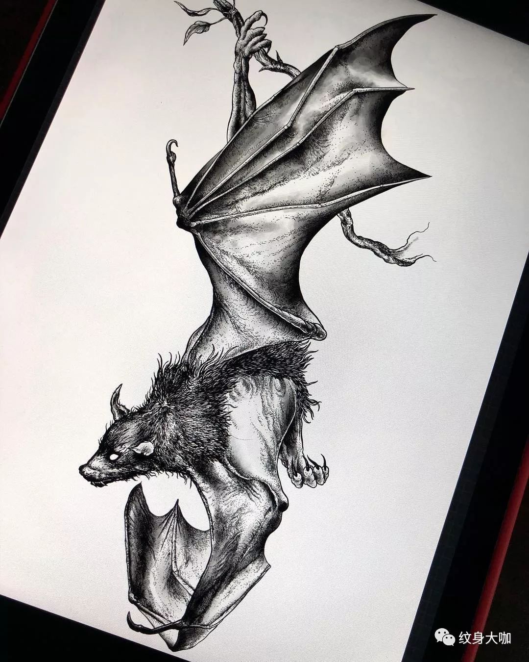 纹身手稿素材第486期:蝙蝠
