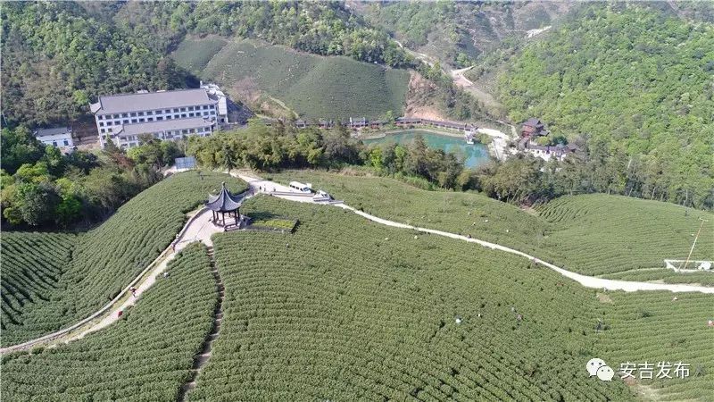 中国·安吉宋茗茶博园风景照奉上