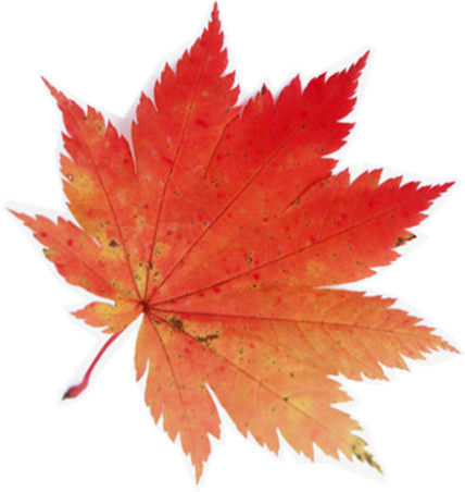 广州写字楼招商花城创意产业园