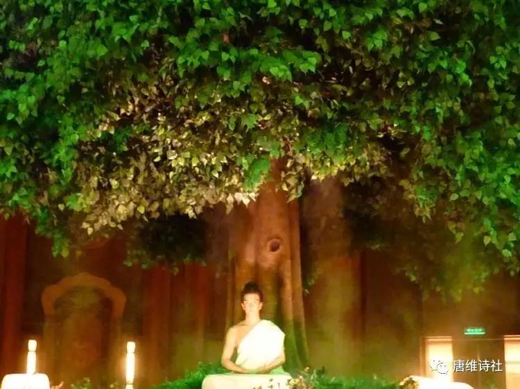 把我的灵魂化成了一株菩提 长在你的禅院 你每天在菩提树下打坐 却不