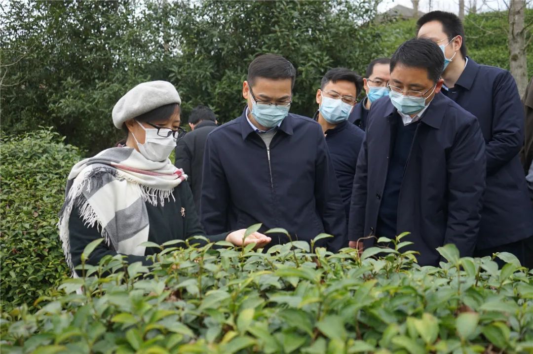 省委组织部部务会议成员干部综合处处长曹锦喜来开化开展三服务