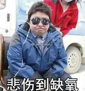 韩红想销毁自己的表情包,网友都笑疯了,我却想哭