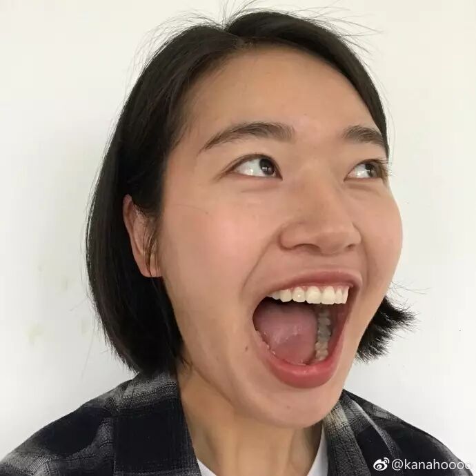 每日神段子丨泰迪的舌头原来这么长啊!