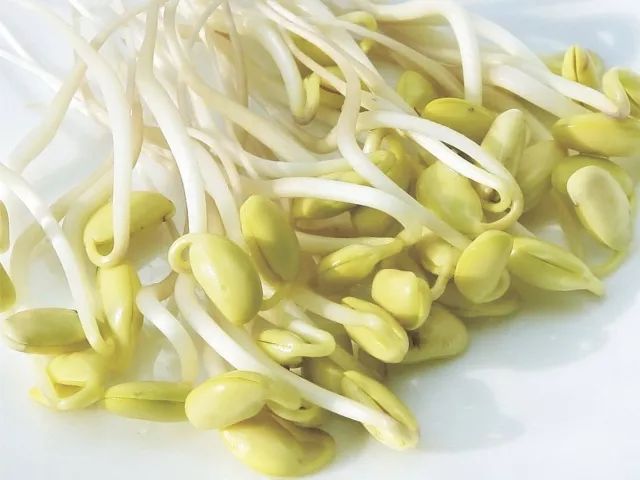 "冰肌玉质"的黄豆芽,有什么营养价值呢?维c就这样生成