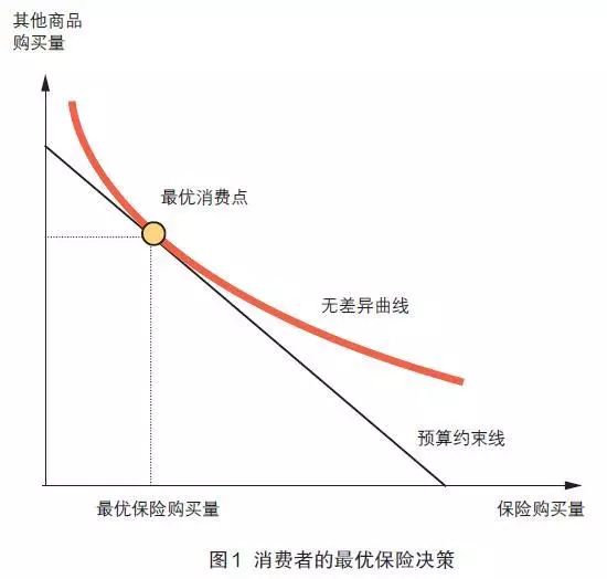 预算约束和其它商品竞争下的最优保险消费