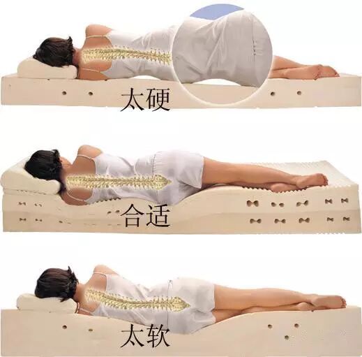棉床垫好吗_纯棉床垫_记忆棉床垫什么优点