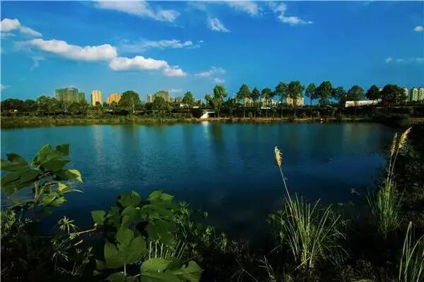 ΪʲôһҪڳɶ򷿣3ĳɶ𰸣