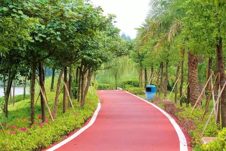 ΪʲôһҪڳɶ򷿣3ĳɶ𰸣