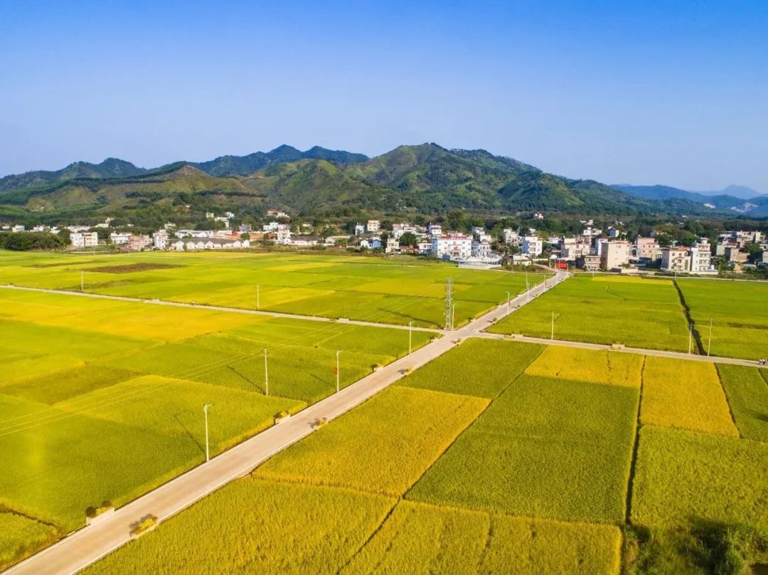 河源将全面实施农村公路路长制