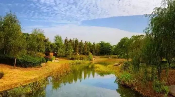 贡湖湾湿地公园