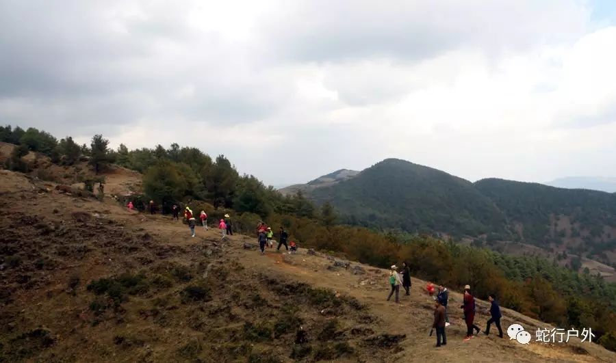 万壑树参天,千山响杜鹃-联合马鬃梁子赏花