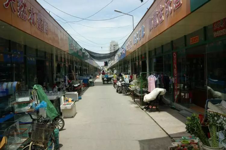 曹家渡!上海最大花鸟市场整治关闭,还有哪些地方值得逛?