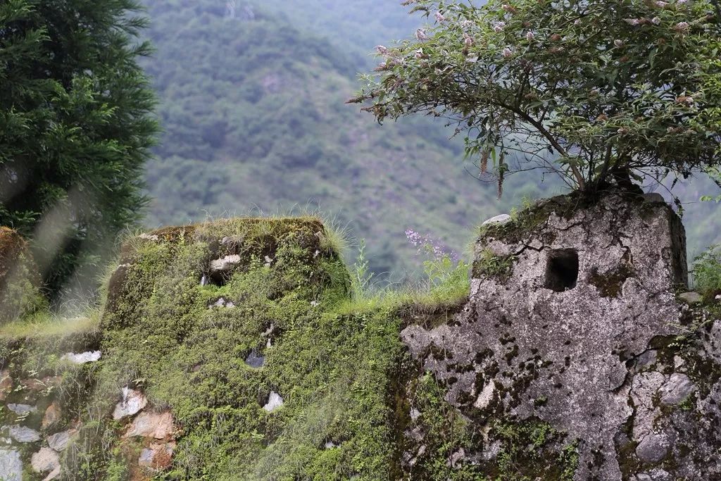 重磅| 深度贫困,我拿小镇拯救你——四川凉山彝族自治州喜德县诊断