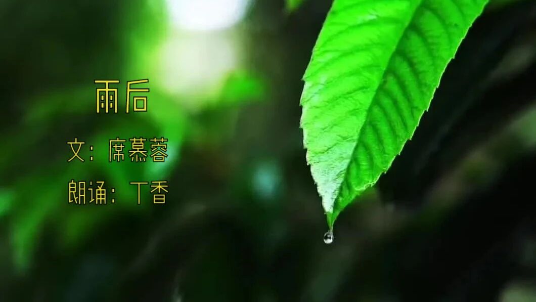 席慕蓉：雨后 （唯美视频）