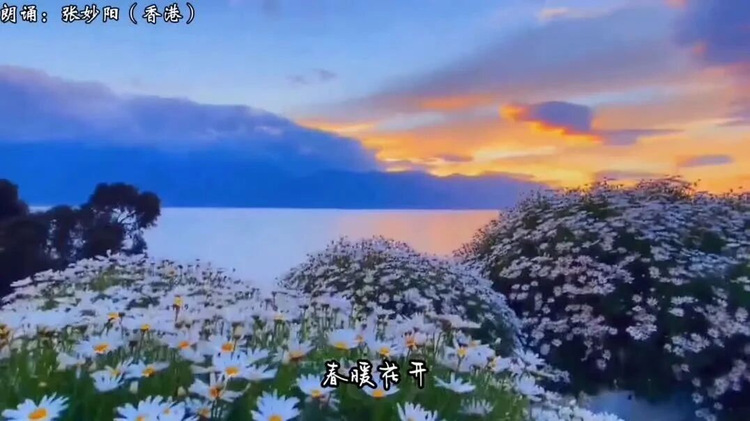 面朝大海春暖花开（太美！）-1