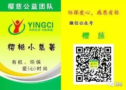 【绿色生活】20个聪明的创意园艺点子