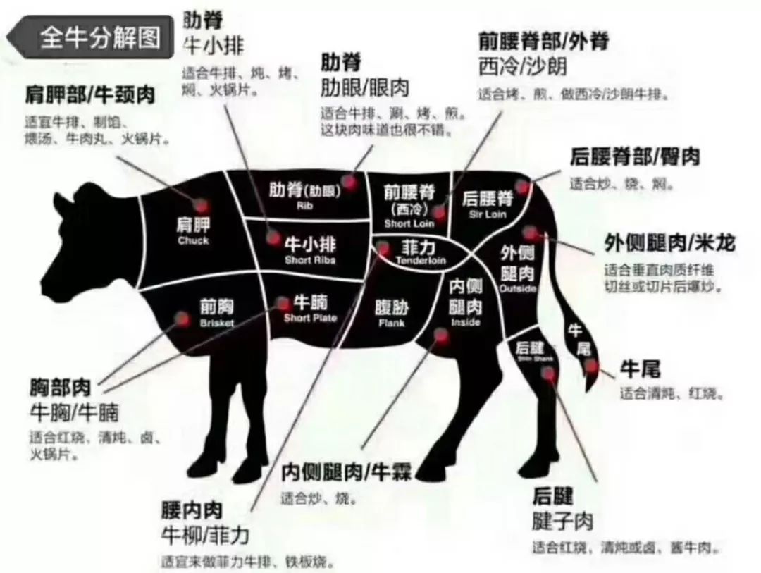 海韵达制定哈萨克斯坦牛肉中国进口标准全牛26分体