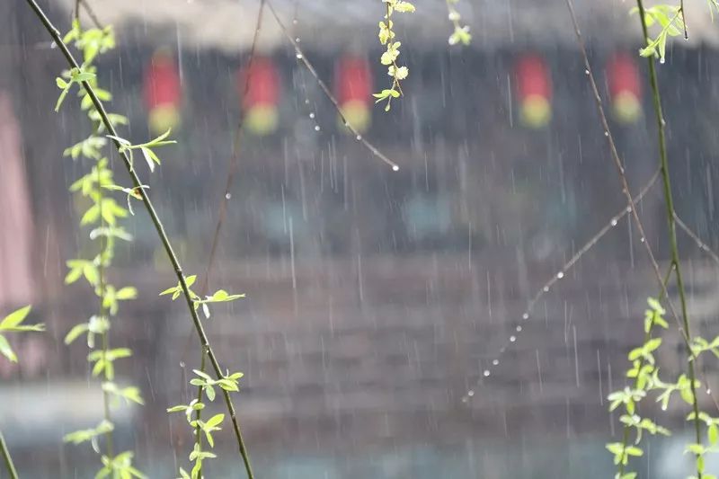 熹园印象 ‖ 草堂听雨-来自微信公众号婺源熹园-wx.