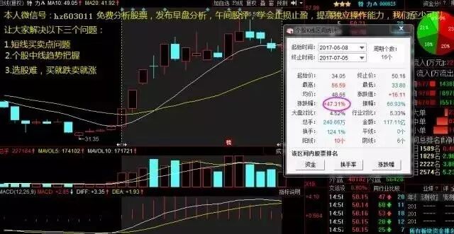 二胎概念第一股横空现世,中季报业绩飙增,暴涨黑马10月蓄势待发!