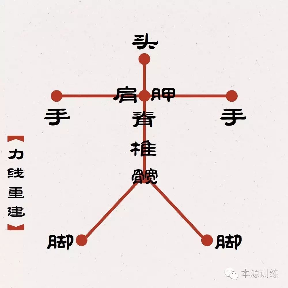 本源健身基本功——人体力线建立