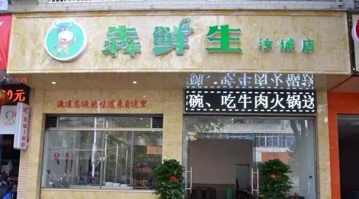 谢霆锋拜师学艺,超多明星慕名而来的牛肉火锅进驻汝城,双11开业了.