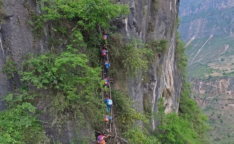 壮观| 藤梯变钢梯 四川"悬崖村"将建景区 想去感受下吗?
