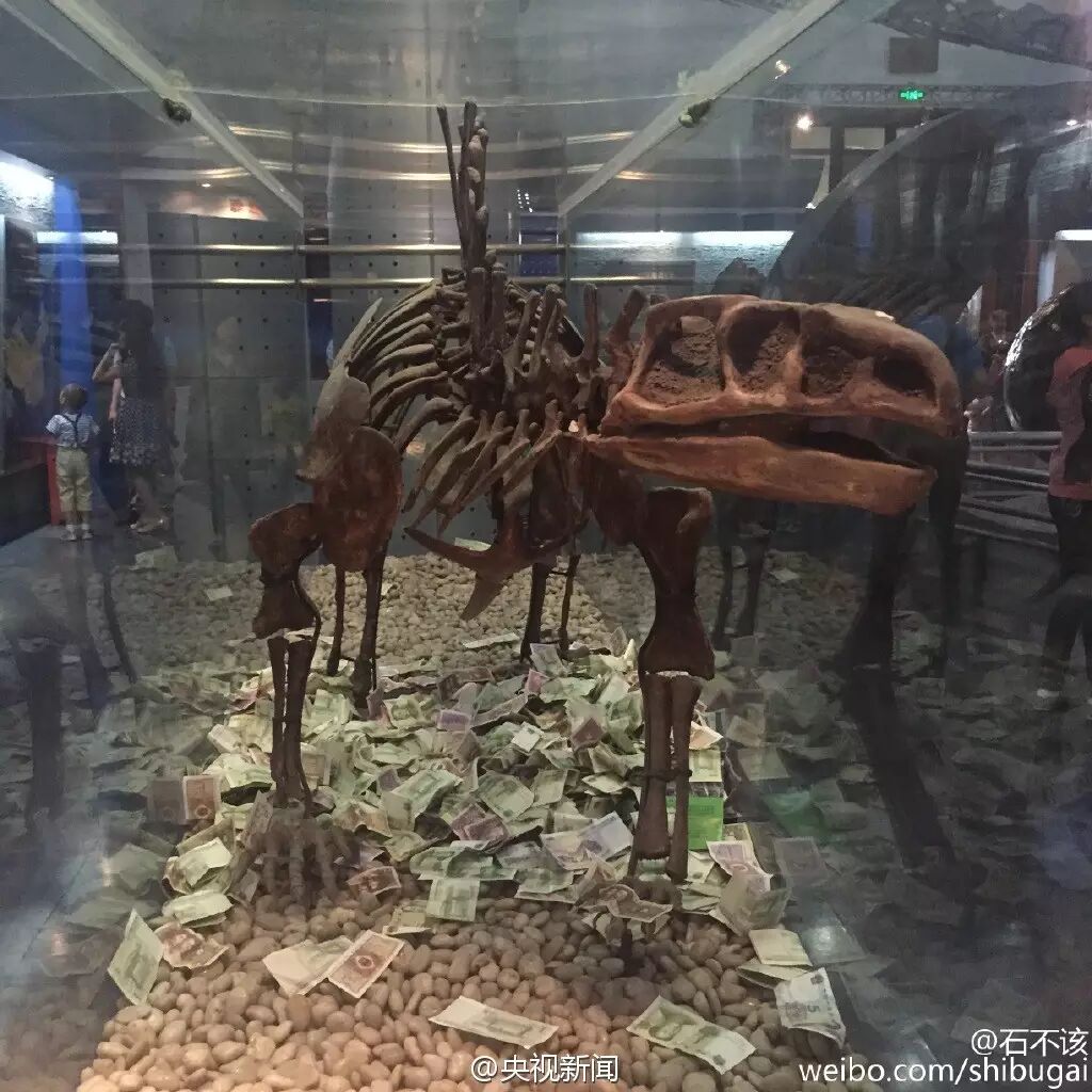 烈士公園海龜誤吞硬幣死亡 或因游客撒幣祈福