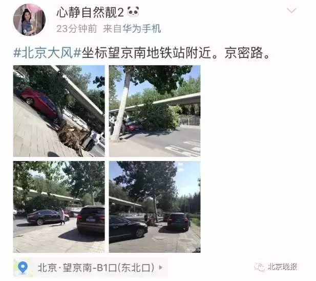 飞机剧烈摇晃无法降落 乘客惊魂 大树吹倒 外卖哥被砸死…这里强风肆虐