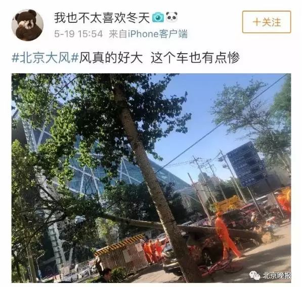 飞机剧烈摇晃无法降落 乘客惊魂 大树吹倒 外卖哥被砸死…这里强风肆虐