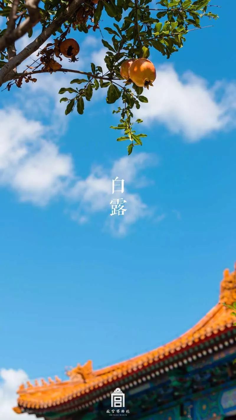 今日白露：秋意渐浓，秋色正美，一年最有诗意时
