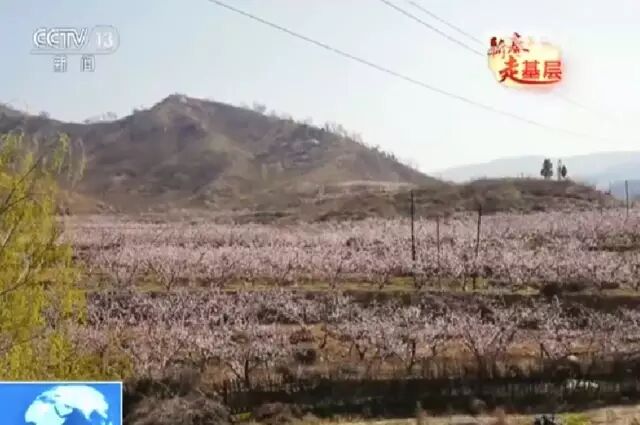 山東一小山村一年分紅四次 福利多至24樣