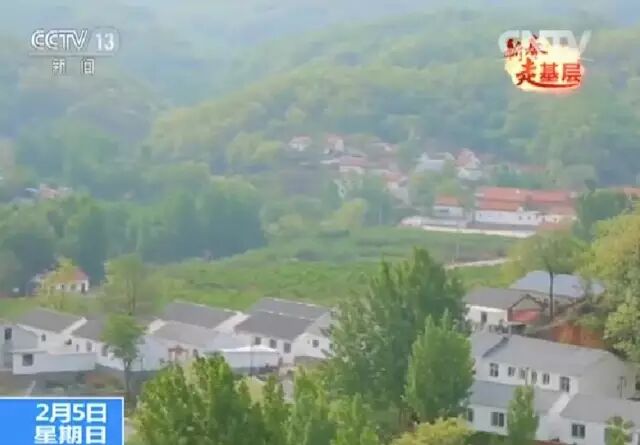 山東一小山村一年分紅四次 福利多至24樣