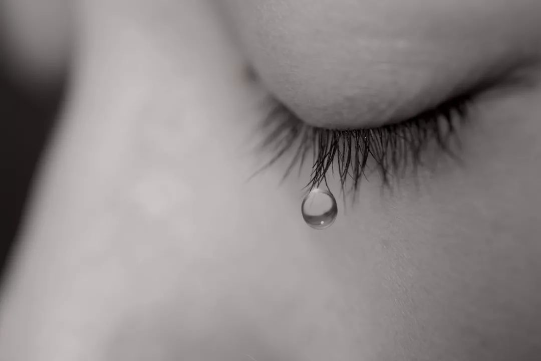 但悲伤会使我的眼睛蒙满泪水,却不会使我闭上眼睛.