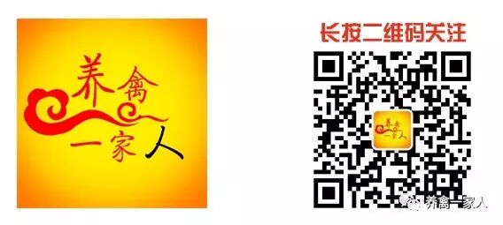 新城疫和流感的辨别