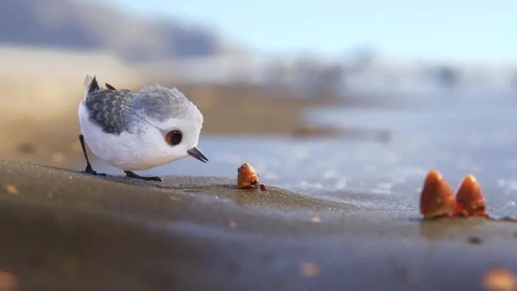 مىكرو كارتون