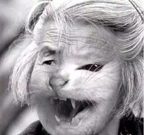 猫脸老太太灵异事件