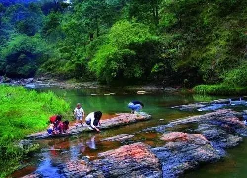 8米,可露营,烧烤 游览自然风光,徒步探险 马过河风景区由 马过河,万亩